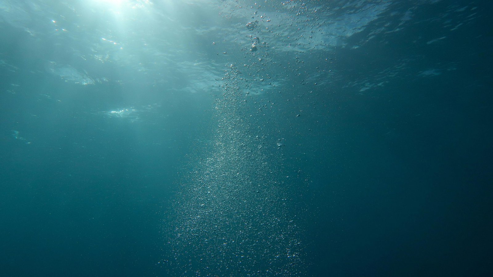 Peaceful underwater scene with sunlight and streaming bubbles in the ocean.